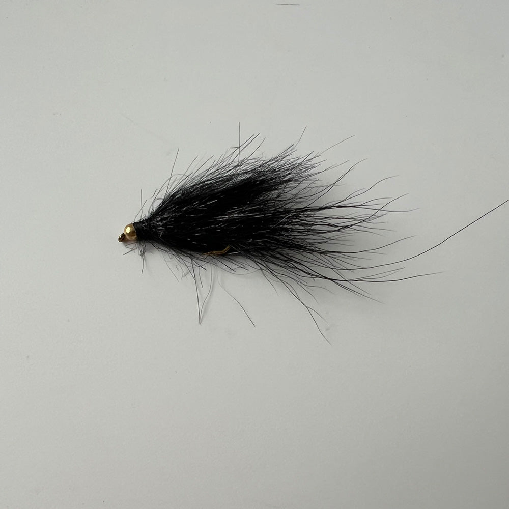 Leech Fly