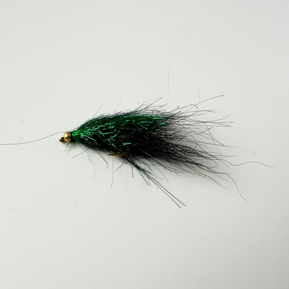 Leech Fly