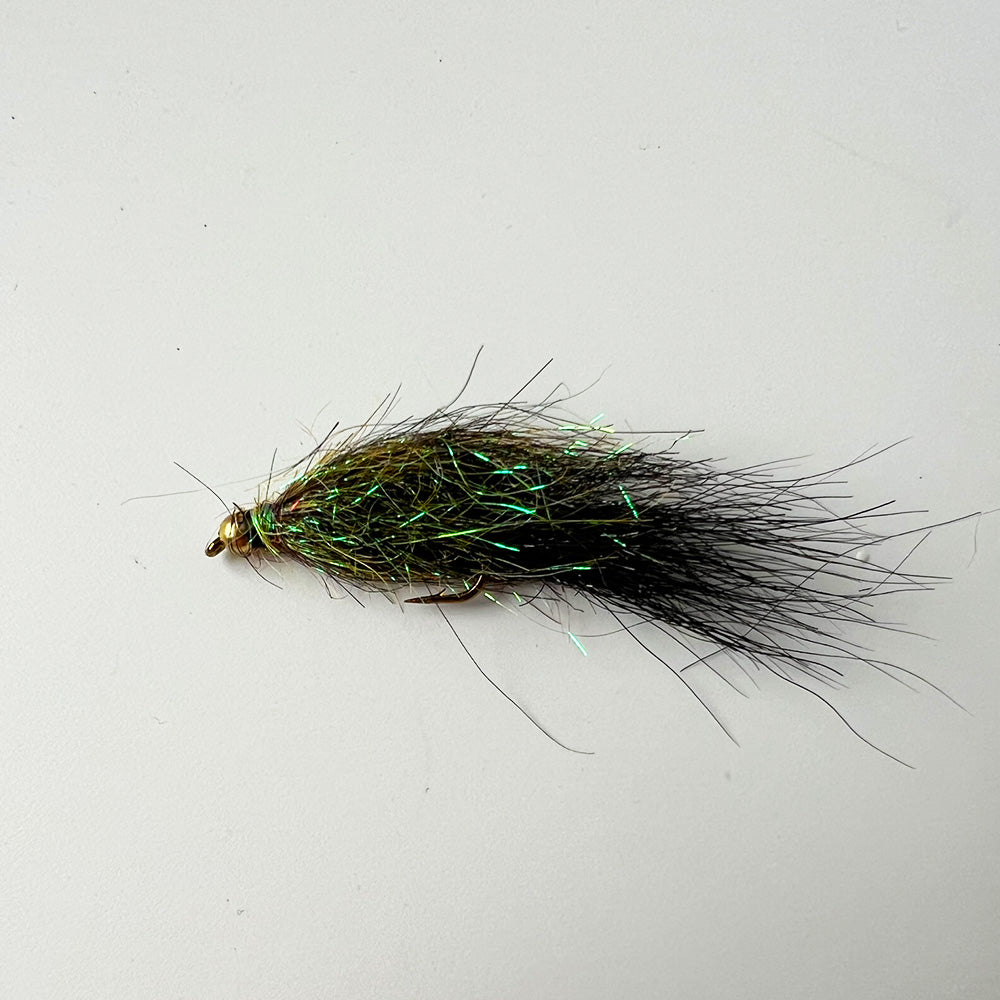 Leech Fly