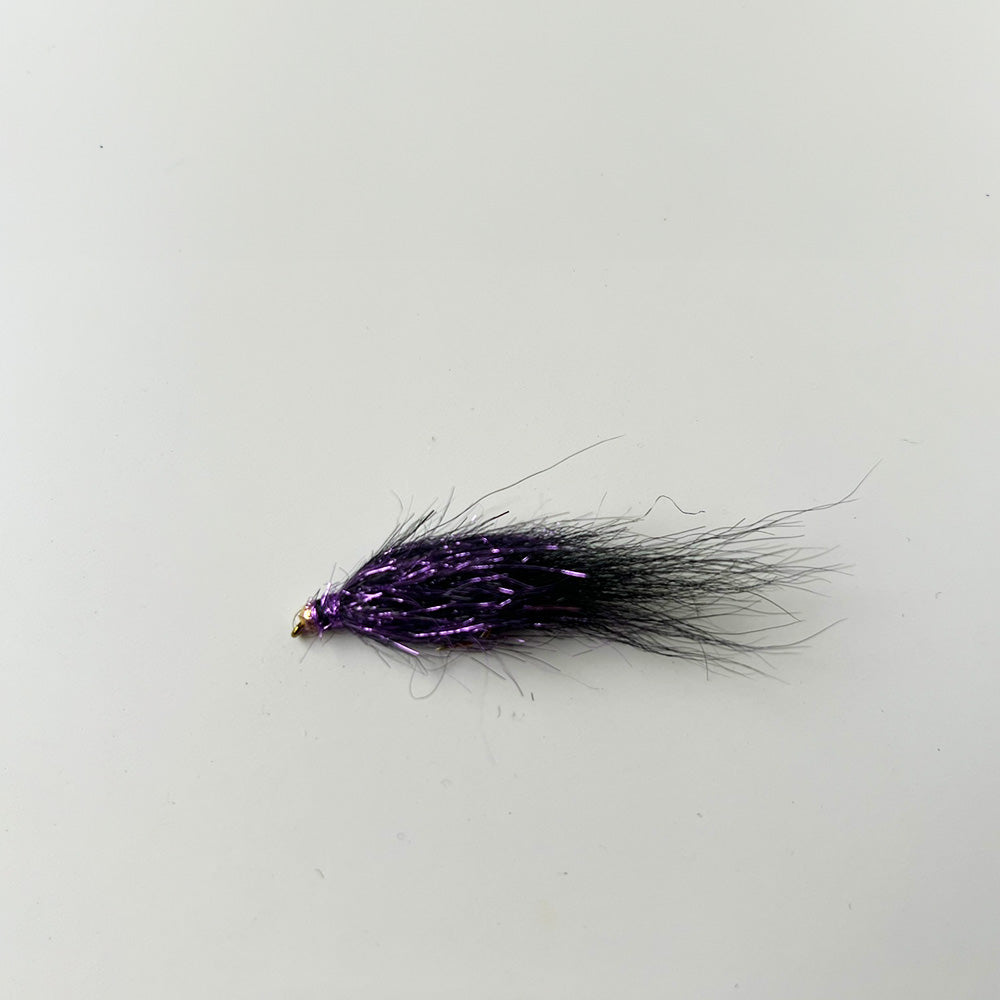 Leech Fly