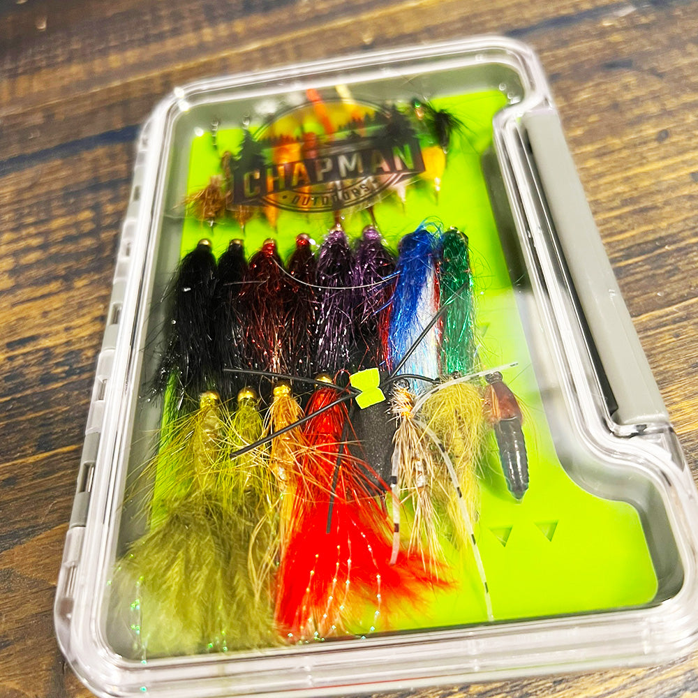 Beginner Fly Box