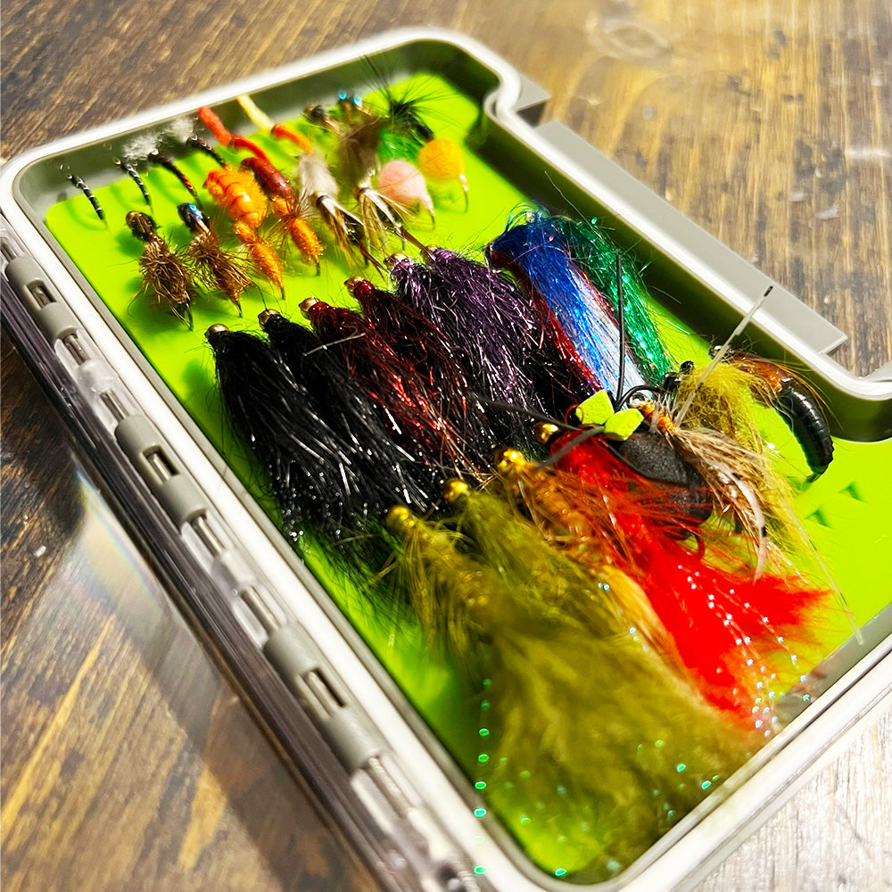 Beginner Fly Box