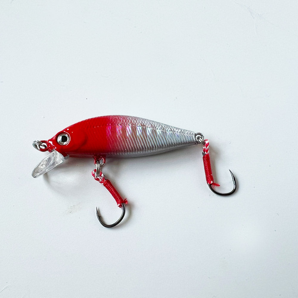 Crankbait Lure