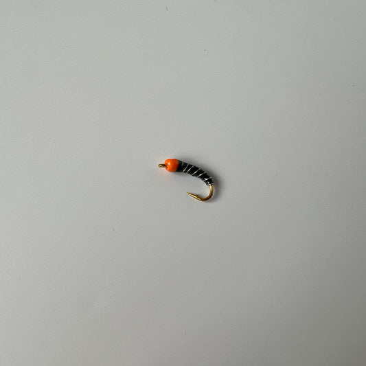 Pumpkin Head Chironomid